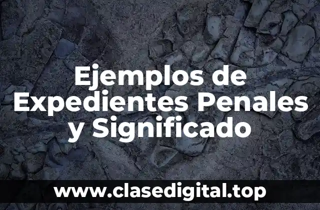 Ejemplos de Expedientes Penales