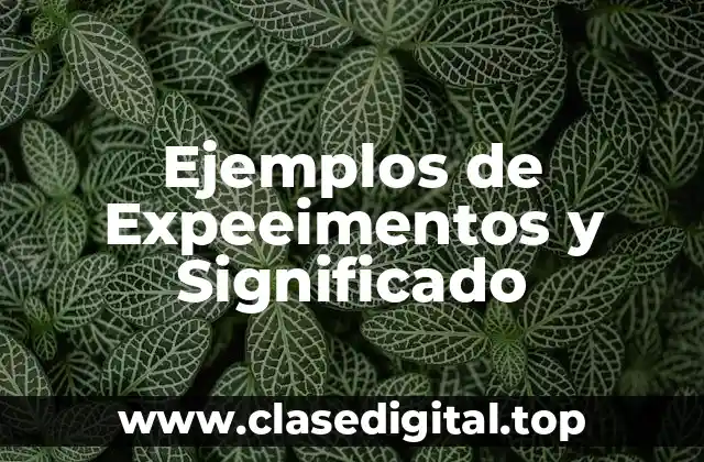 Ejemplos de Expeeimentos y Significado