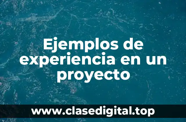 Ejemplos de experiencia en un proyecto