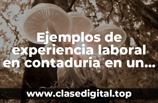 Ejemplos de experiencia laboral en contaduria en un curriculum