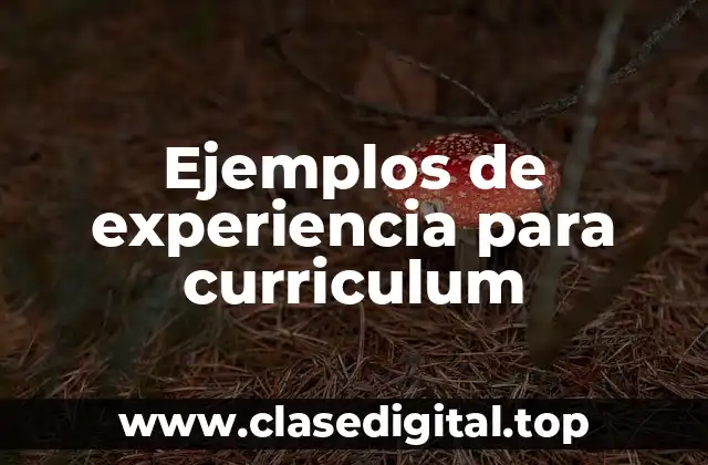 Ejemplos de experiencia para curriculum