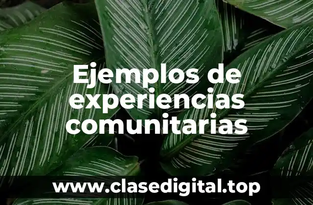 Ejemplos de experiencias comunitarias