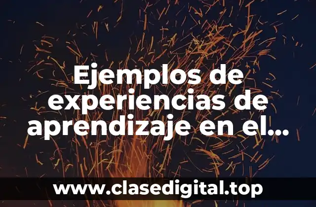Ejemplos de experiencias de aprendizaje en el aula