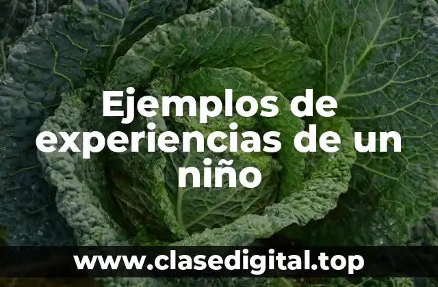 Ejemplos de experiencias de un niño