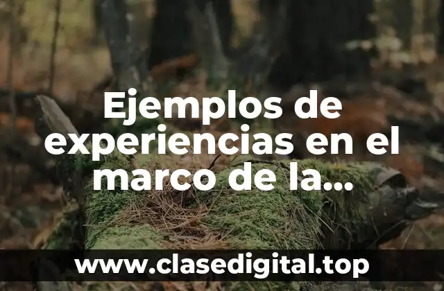 Ejemplos de experiencias en el marco de la globalización