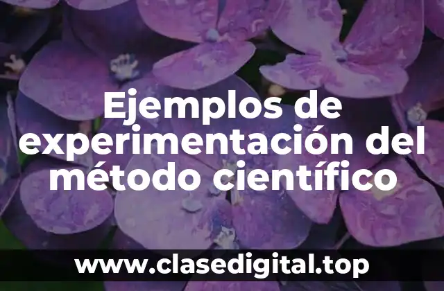 Ejemplos de experimentación del método científico