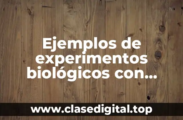 Ejemplos de experimentos biológicos con variables dependientes e independientes y Significado