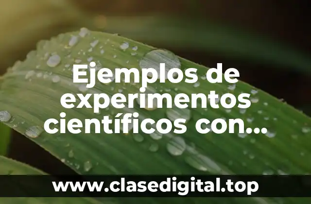Ejemplos de experimentos científicos