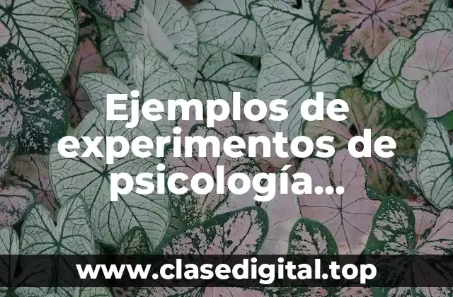 Ejemplos de experimentos de psicología experimental