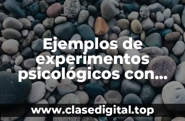 Ejemplos de experimentos psicológicos con animales