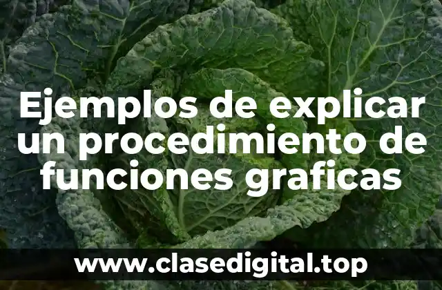 Ejemplos de explicar un procedimiento de funciones graficas