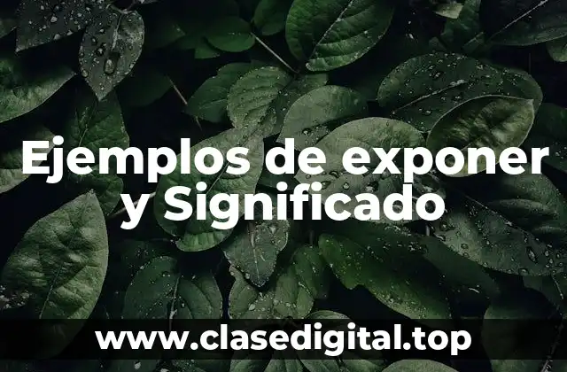 Ejemplos de exponer y Significado
