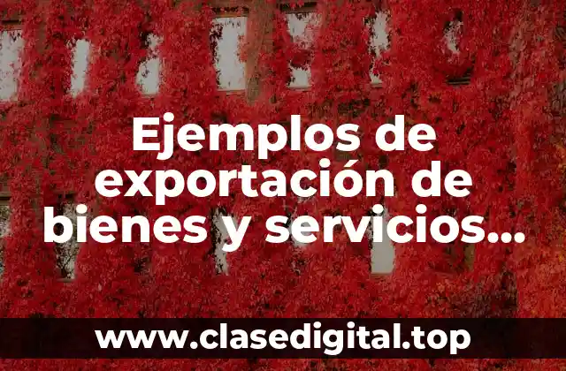Ejemplos de exportación de bienes y servicios IVA