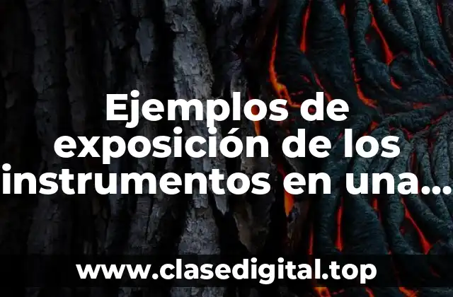 Ejemplos de exposición de los instrumentos en una comunidad