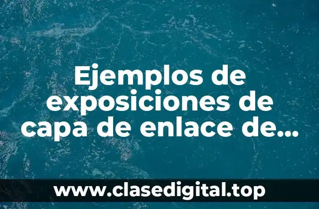 Ejemplos de exposiciones de capa de enlace de datos