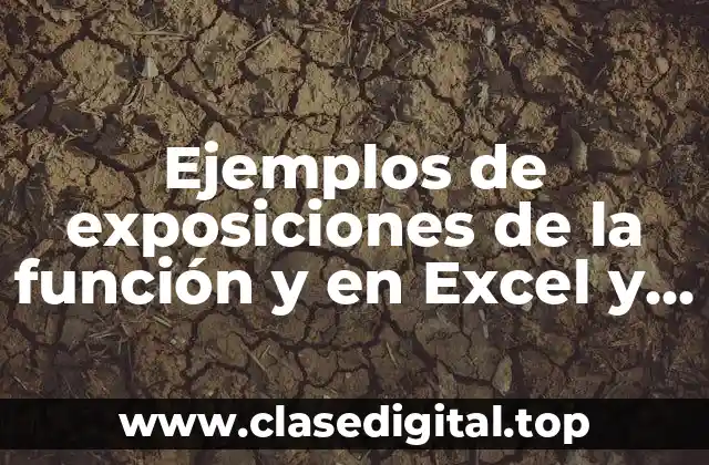 Ejemplos de exposiciones de la función y en Excel y Significado