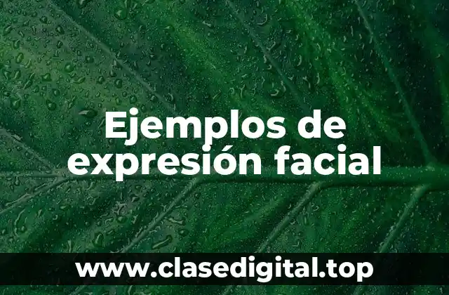 Ejemplos de expresión facial