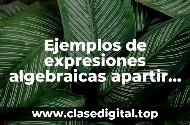 Ejemplos de expresiones algebraicas apartir de modelos geometricos
