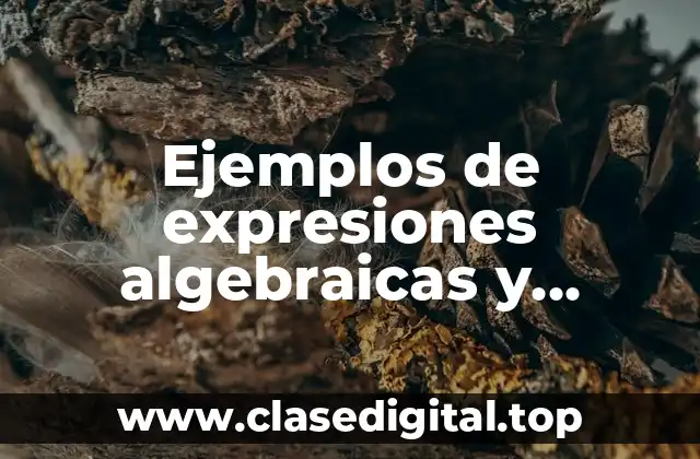 Ejemplos de expresiones algebraicas y graficas que representan cónicas