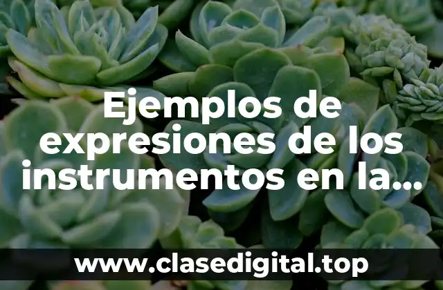 Ejemplos de expresiones de los instrumentos en la vida cotidiana