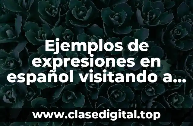 Ejemplos de expresiones en español visitando a mi familia