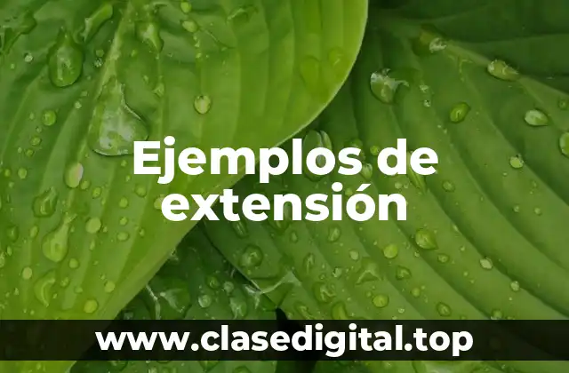 Ejemplos de extensión