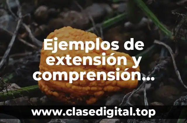 Ejemplos de extensión y comprensión bibliográfica