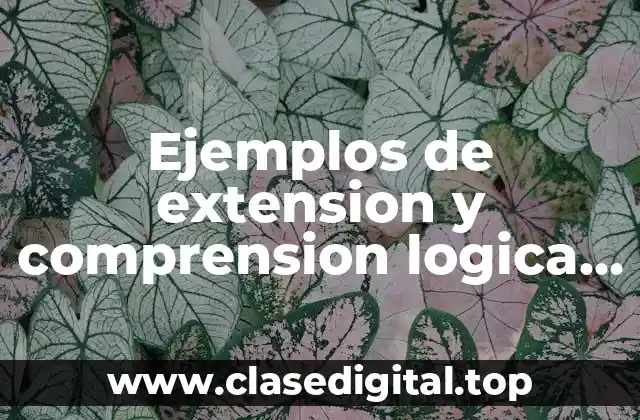 Ejemplos de extension y comprension logica de los axiomas y Significado