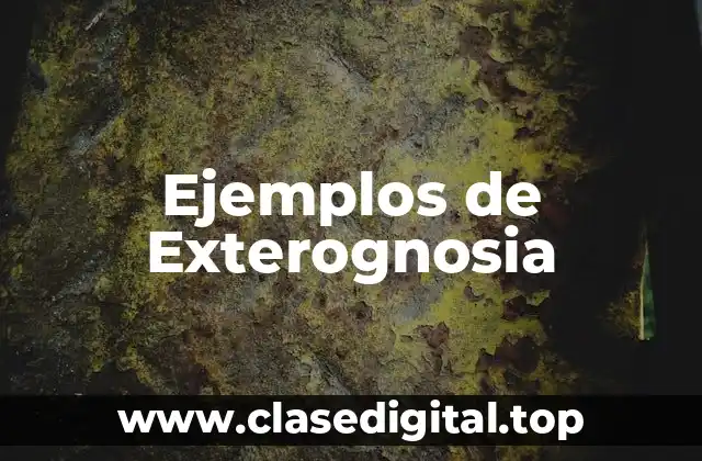 Ejemplos de Exterognosia