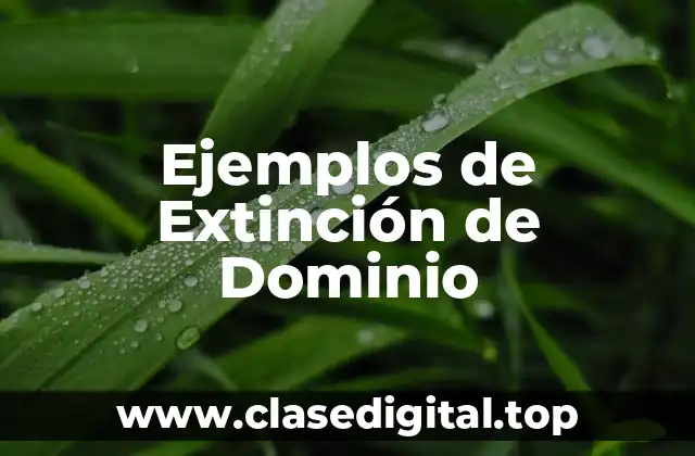Ejemplos de Extinción de Dominio