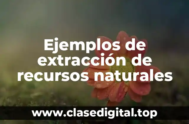Ejemplos de extracción de recursos naturales