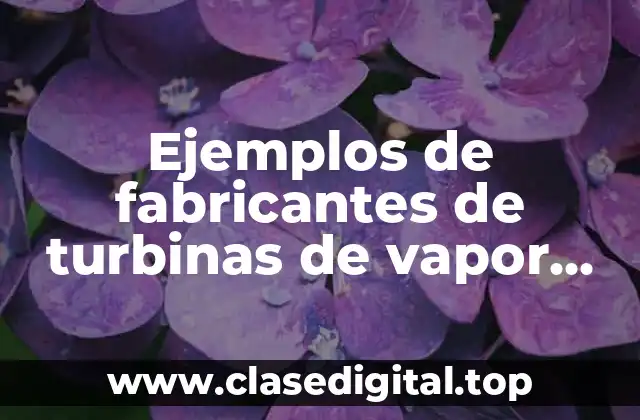 Ejemplos de fabricantes de turbinas de vapor ciclo Rankine
