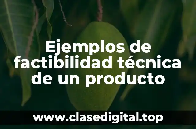 Ejemplos de factibilidad técnica de un producto