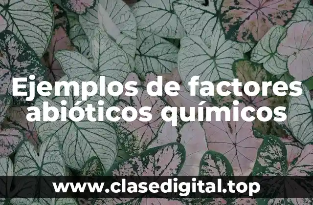 Ejemplos de factores abióticos químicos