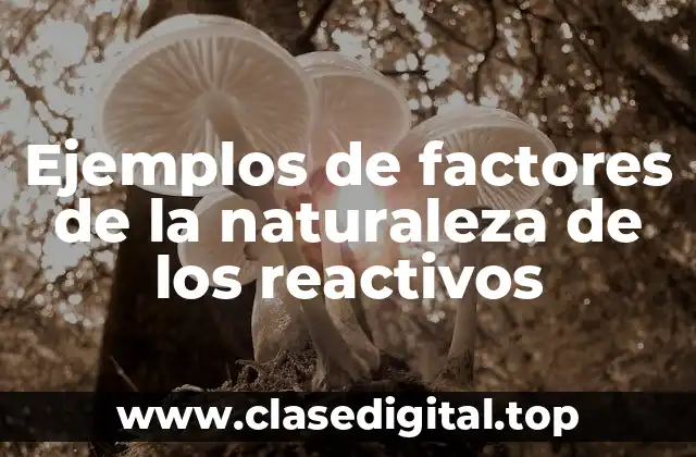 Ejemplos de factores de la naturaleza de los reactivos