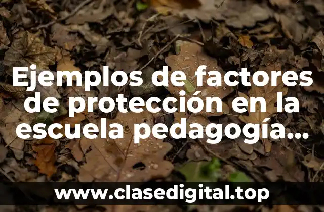 Ejemplos de factores de protección en la escuela pedagogía emergencia