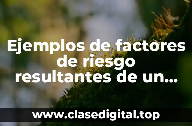 Ejemplos de factores de riesgo resultantes de un fraude