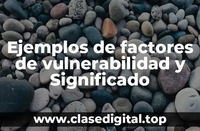 Ejemplos de factores de vulnerabilidad y Significado