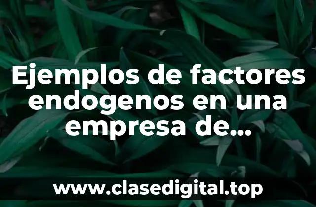 Ejemplos de factores endogenos en una empresa de manufactura y Significado