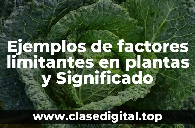 Ejemplos de factores limitantes en plantas y Significado