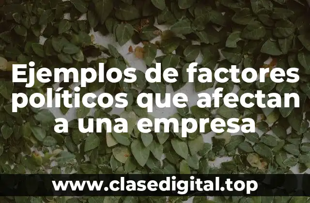Ejemplos de factores políticos que afectan a una empresa