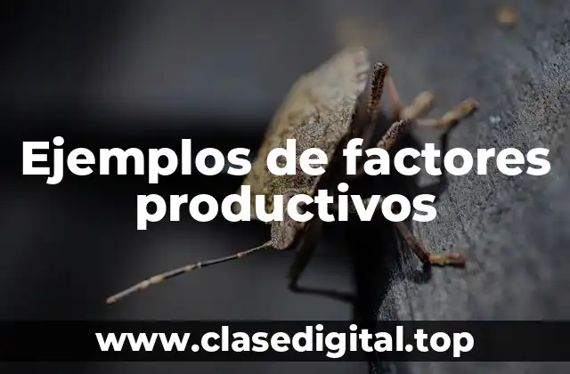Ejemplos de factores productivos