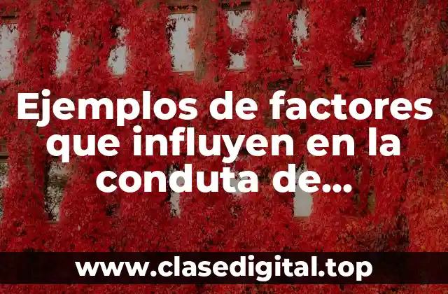 Ejemplos de factores que influyen en la conduta de consumidor