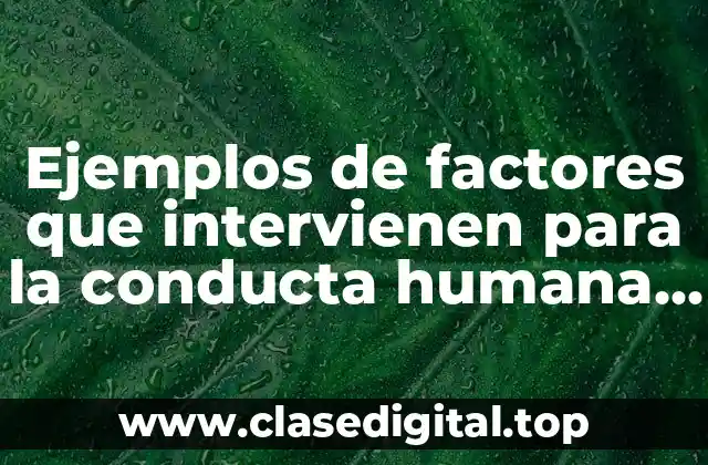 Ejemplos de factores que intervienen para la conducta humana y Significado