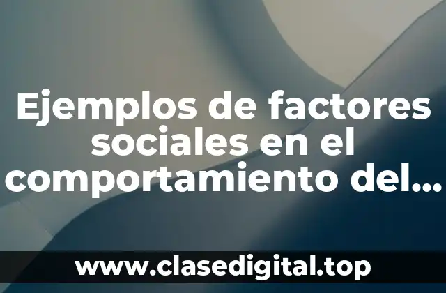 Ejemplos de factores sociales en el comportamiento del consumidor y Significado