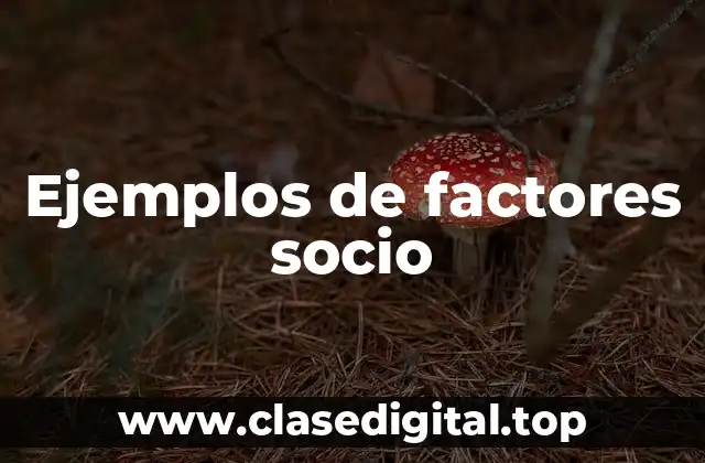 Ejemplos de factores socio