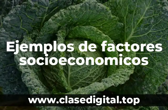 Ejemplos de factores socioeconomicos