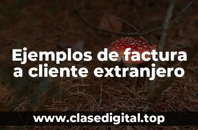 Ejemplos de factura a cliente extranjero