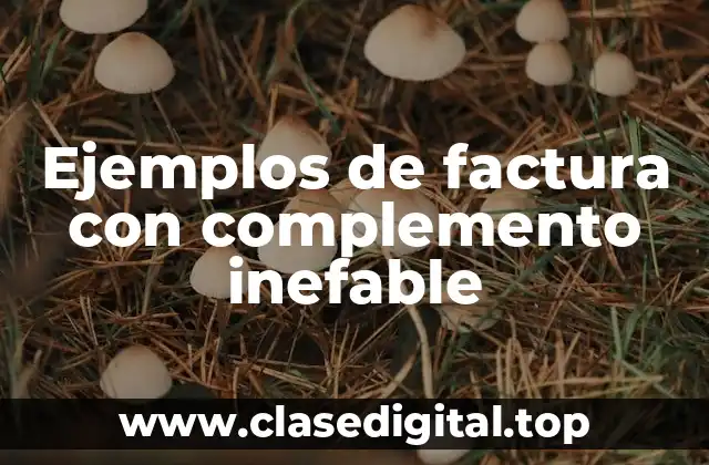 Ejemplos de factura con complemento inefable
