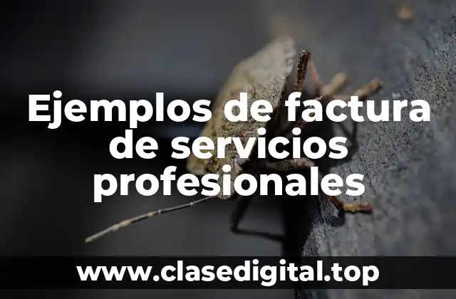 Ejemplos de factura de servicios profesionales